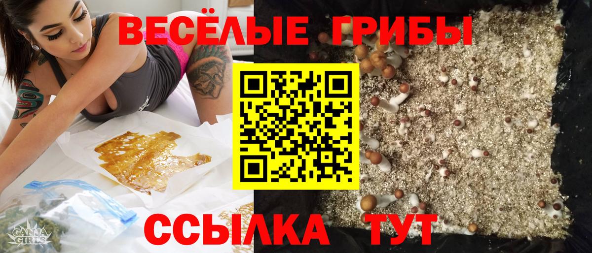 Дзержинск  Псилоцибиновые грибы мицелий  Вход с VPN  Псилоцибиновые грибы Psilocybe 