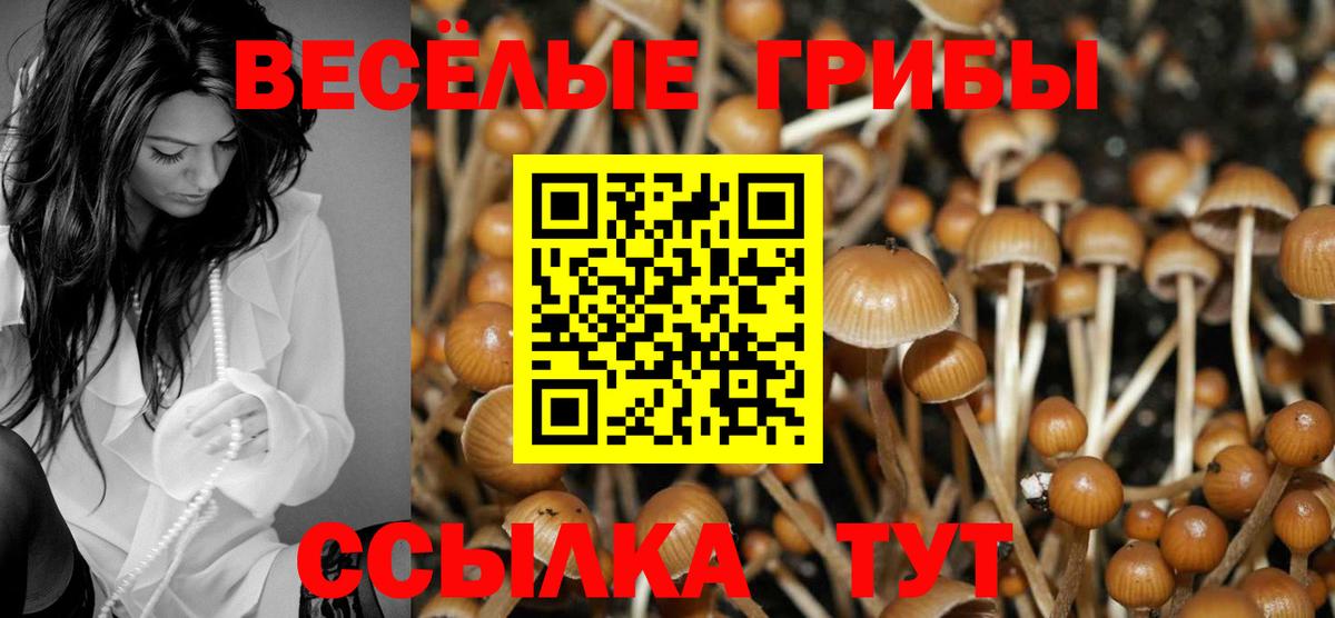 Галлюциногенные грибы Cubensis Дзержинск